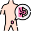 Specialist Hernias